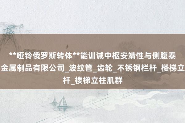 **哑铃俄罗斯转体**能训诫中枢安靖性与侧腹泰州铿岩金属制品有限公司_波纹管_齿轮_不锈钢栏杆_楼梯立柱肌群